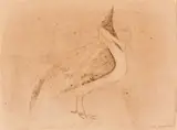 Morris Graves, Lone Bird
