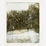 Lisa Grossman, Winter Walk, Color etching on paper