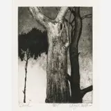 Craig Allen Subler, Dusk, Etching and aquatint on paper