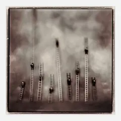Cops and Ladders by Keith Carter, 1997, Gelatin silver print, sold Mar 2025