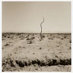 John W. Gutowski, Untitled, Gelatin silver print