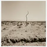 John W. Gutowski, Untitled, Gelatin silver print