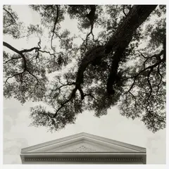 John W. Gutowski, Untitled, Gelatin silver print