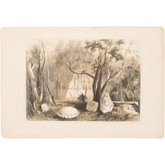 Frederick Catherwood, PYRAMIDAL BUILDING AND FRAGMENTS OF SCULPTURE AT COPAN, Litografía coloreada