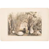 Frederick Catherwood, PYRAMIDAL BUILDING AND FRAGMENTS OF SCULPTURE AT COPAN, Litografía coloreada