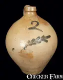 N. Clark & Co., 2 Gal. N. CLARK & CO. / MOUNT MORRIS Decorated Stoneware Jug