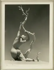 Pedro E. Guerrero, Nude with Tree, circa 1939, Gelatin Silver Print