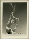 Pedro E. Guerrero, Nude with Tree, circa 1939, Gelatin Silver Print