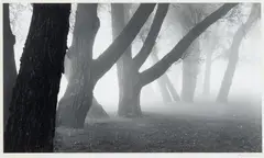 Howard Bond, Untitled, Gelatin Silver Print, "Procession"