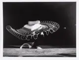 Harold Eugene Edgerton, Untitled