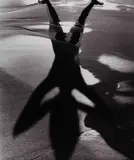 Lucien Clergue, Shadow on the beach', from the series 'Née de la vague