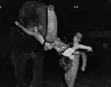 Weegee, The Elephant-Number, Madison Square Garden, New York c. 1956, 1956, Vintage silver print on double-weight semi-matte paper