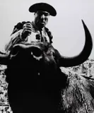 Lucien Clergue, Dying Bull', Nîmes, France 1963