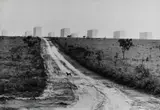 Elliott Erwitt, Brasilia
