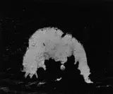 Aaron Siskind, Rome 63