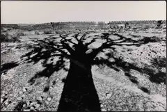 Fort Rohtas, Pakistan 1963 by René Burri, 1963, Gelatin silver print, printed in 1989 on double-weight semi-matte paper, sold Jun 2024