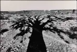 René Burri, Fort Rohtas, Pakistan 1963, 1963, Gelatin silver print, printed in 1989 on double-weight semi-matte paper
