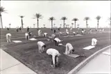 David Hurn, Sun City, Arizona 1980, 1980, Gelatin silver print, printed in 1989 on double-weight semi-matte paper