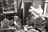 Henri Cartier-Bresson, Henri Matisse, Vence, France 1944