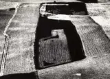 Mario Giacomelli, Untitled, from the series 'Presa di coscienza sulla natura