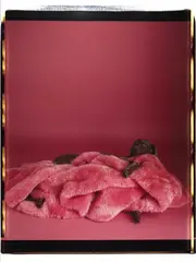 Untitled (Fay Ray covered with pink blanket) by William Wegman, 1987, Polaroid, sold Nov 2023