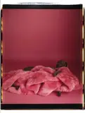 William Wegman, Untitled (Fay Ray covered with pink blanket)