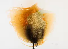 Unknown Tree by Otto Piene, Farbige Serigrafie und Reliefdruck auf Karton, sold Jun 2016