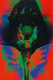 Otto Piene, Aus: "Addis Abeba", Farbserigrafie auf Chromokarton