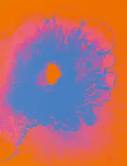 Juli by Otto Piene, 1971, Farbserigrafie auf Karton, sold Jun 2016