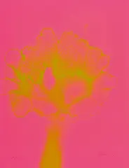 Mai by Otto Piene, Farbserigrafie auf Karton, sold Jun 2016