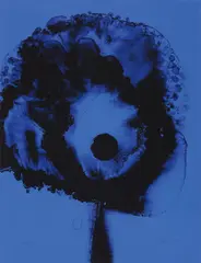November by Otto Piene, 1971, Farbserigrafie auf Karton, sold Jun 2016