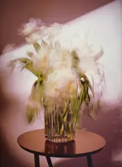 Michael Wesely, Weisse Tulpen, C-Print auf Aluminium