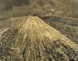Otto Pankok, Weite Landschaft, Kohlezeichnung auf Papier