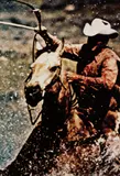 Untitled (Cowboy) by Richard Prince, 1985, chromogenic print, sold Mar 2015