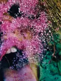 Marilyn Minter, Pink Snow, 2009, chromogenic print
