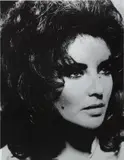 Russell Young, Liz Taylor, 2008, acrylic, screenprint, diamond dust on canvas