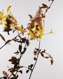 James Welling, #001