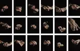 Armed Forces by Alex van Gelder and Louise Bourgeois, 2010, gelatin silver print in artist's frame, in 18 parts, with artist's portfolio box, sold Mar 2015