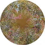 Ryan McGinness, WHID