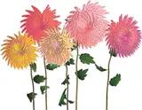 Jennifer Steinkamp, Dance Hall Girl #12 (chrysanthemums), 2006, computer generated animation