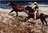 Untitled (cowboy) by Richard Prince, 1986, Ektacolor photograph, sold Mar 2015