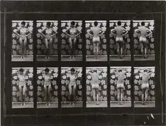 Elaine Sturtevant, Muybridge Plate #136, Woman Shifting Her Weight with Arms on Hip, Arms Behind Back, 1967, gelatin silver print