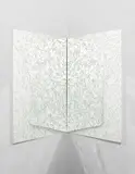 Jim Hodges, See II