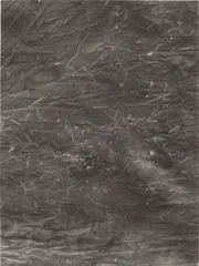 Sam Moyer, Untitled, 2012, ink on canvas mounted to wood panel