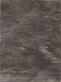 Sam Moyer, Untitled