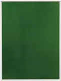 Berlin Woods by Wolfgang Tillmans, 2005, chromogenic print, sold May 2015