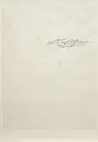 Robert Beck, Hidden Pictures (Rising), 2005, graphite on paper