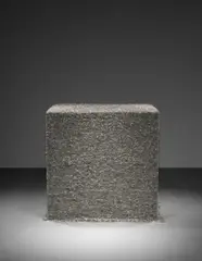 Tara Donovan, Untitled (Pins), 2004, size #17 straight pins