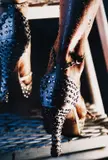 Marilyn Minter, Climber