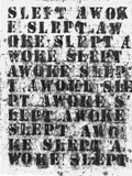 Glenn Ligon, Slept Awoke